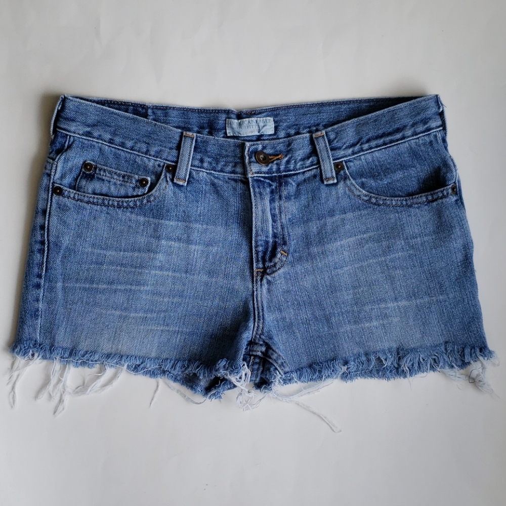American Eagle Outfitters Raw Hem Jean Shorts 4P